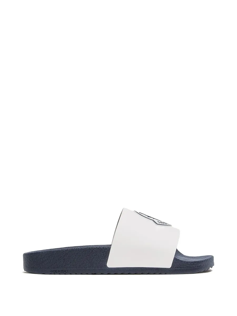 Petit Basile logo-detail slides 4