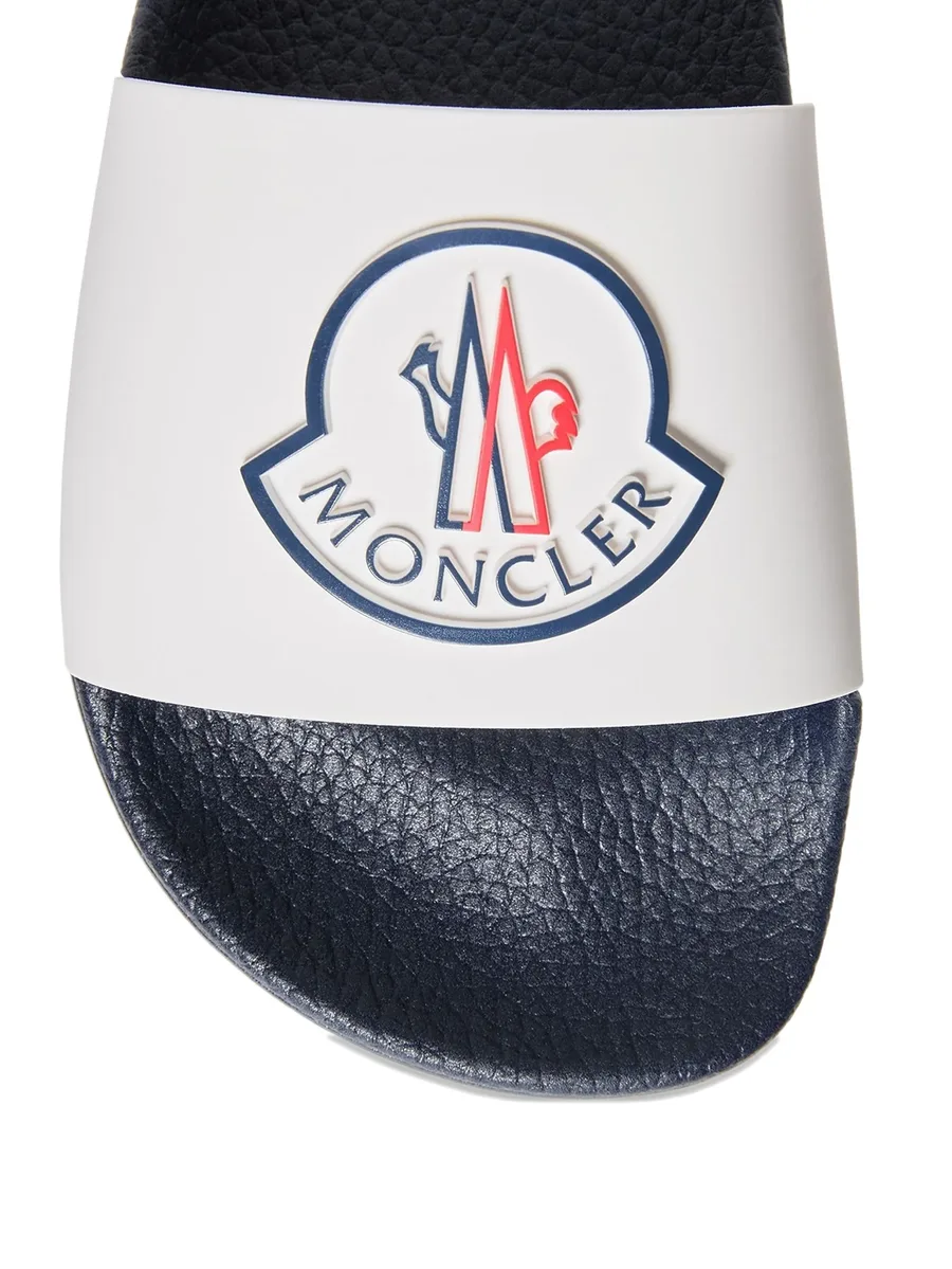 Petit Basile logo-detail slides 10