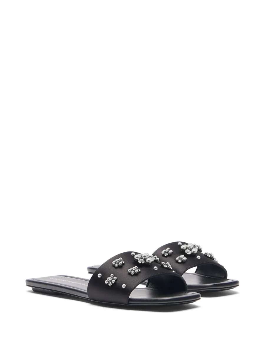 Poppy slides 4