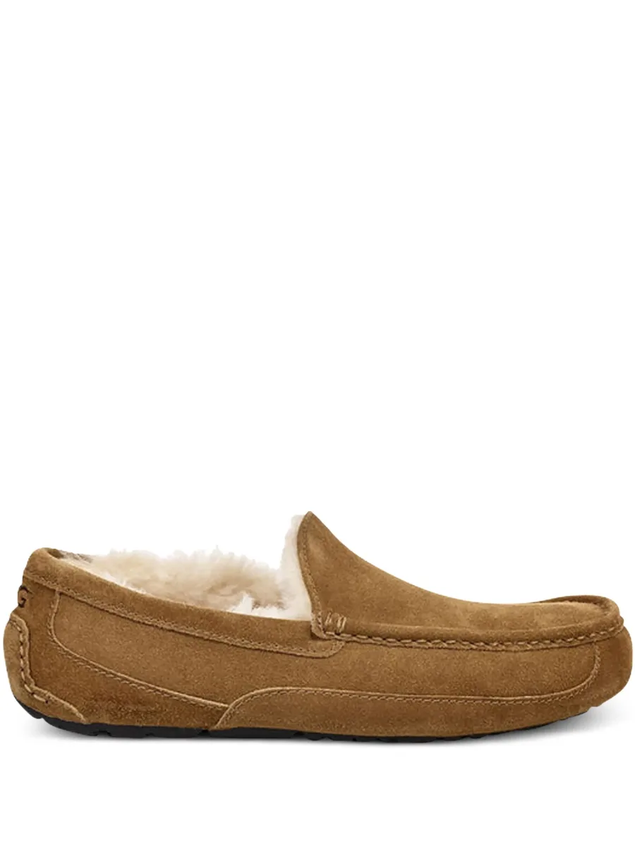 Ascot slippers 1