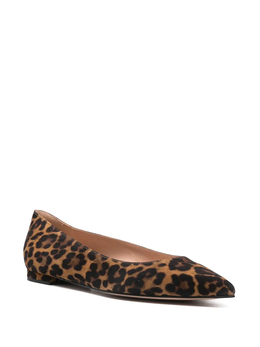балетки Gianvito 4