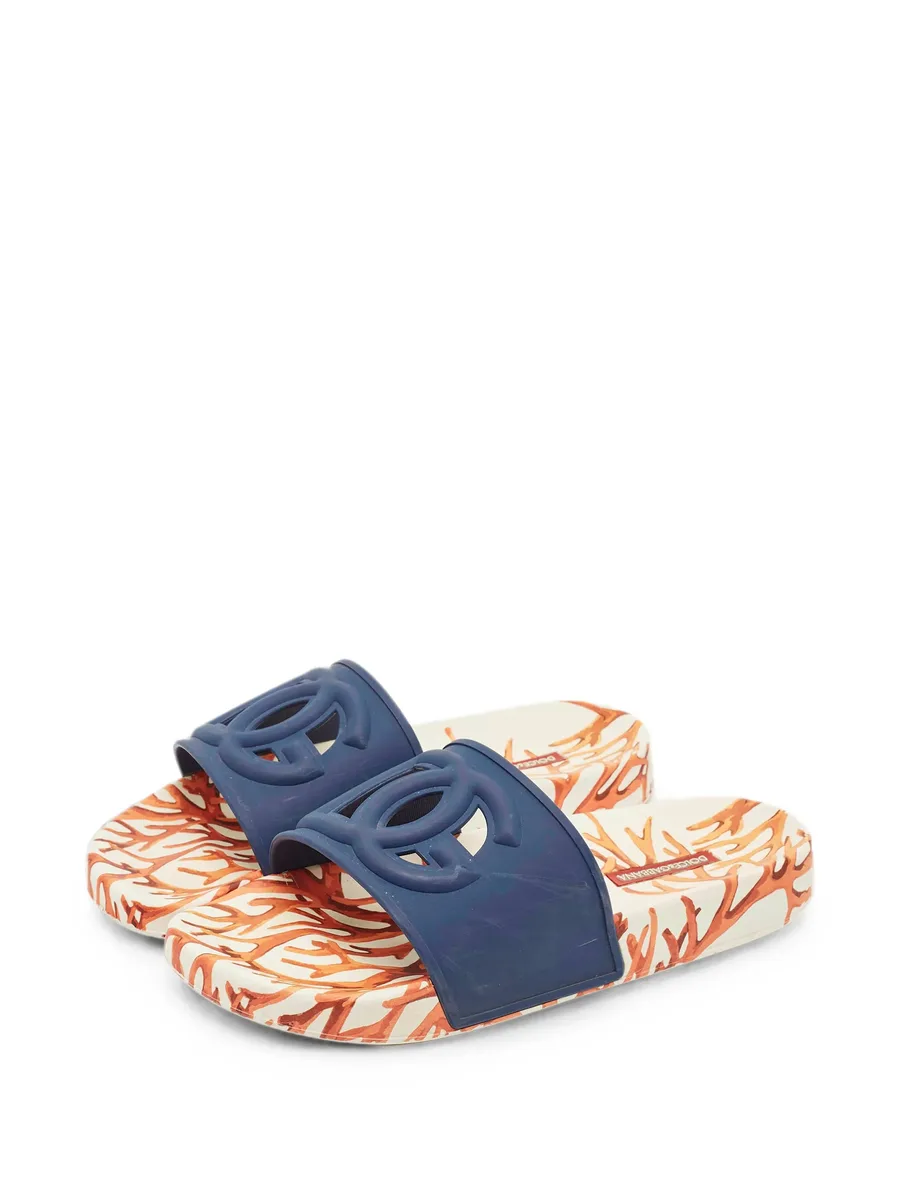DG Logo slides 4