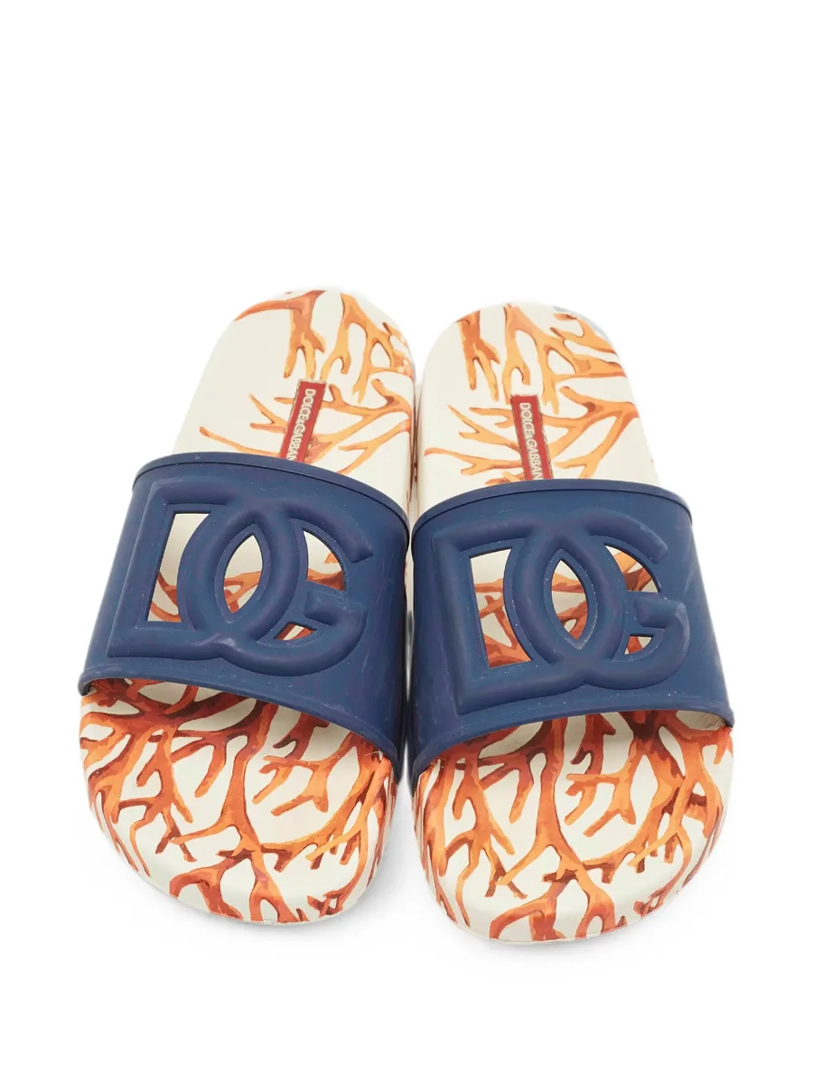 DG Logo slides 8