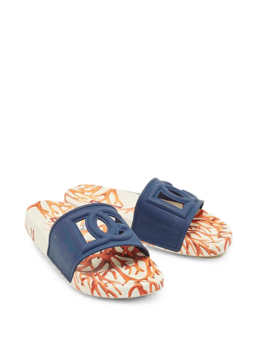 DG Logo slides 9