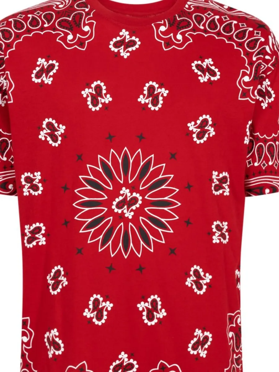x Hanes Bandana Tagless crew neck T-shirt (pack of 2) 5