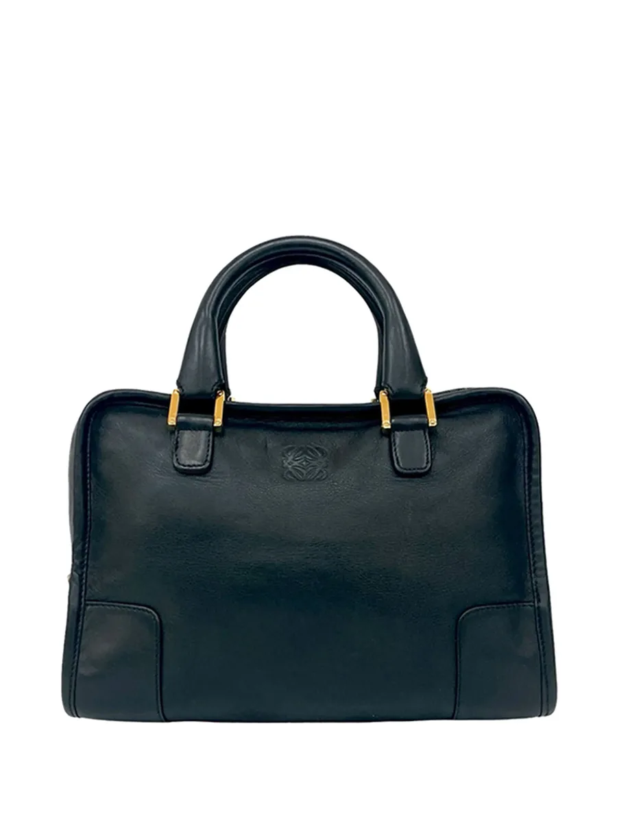 2010-2026 Goatskin Amazona 28 handbag 2