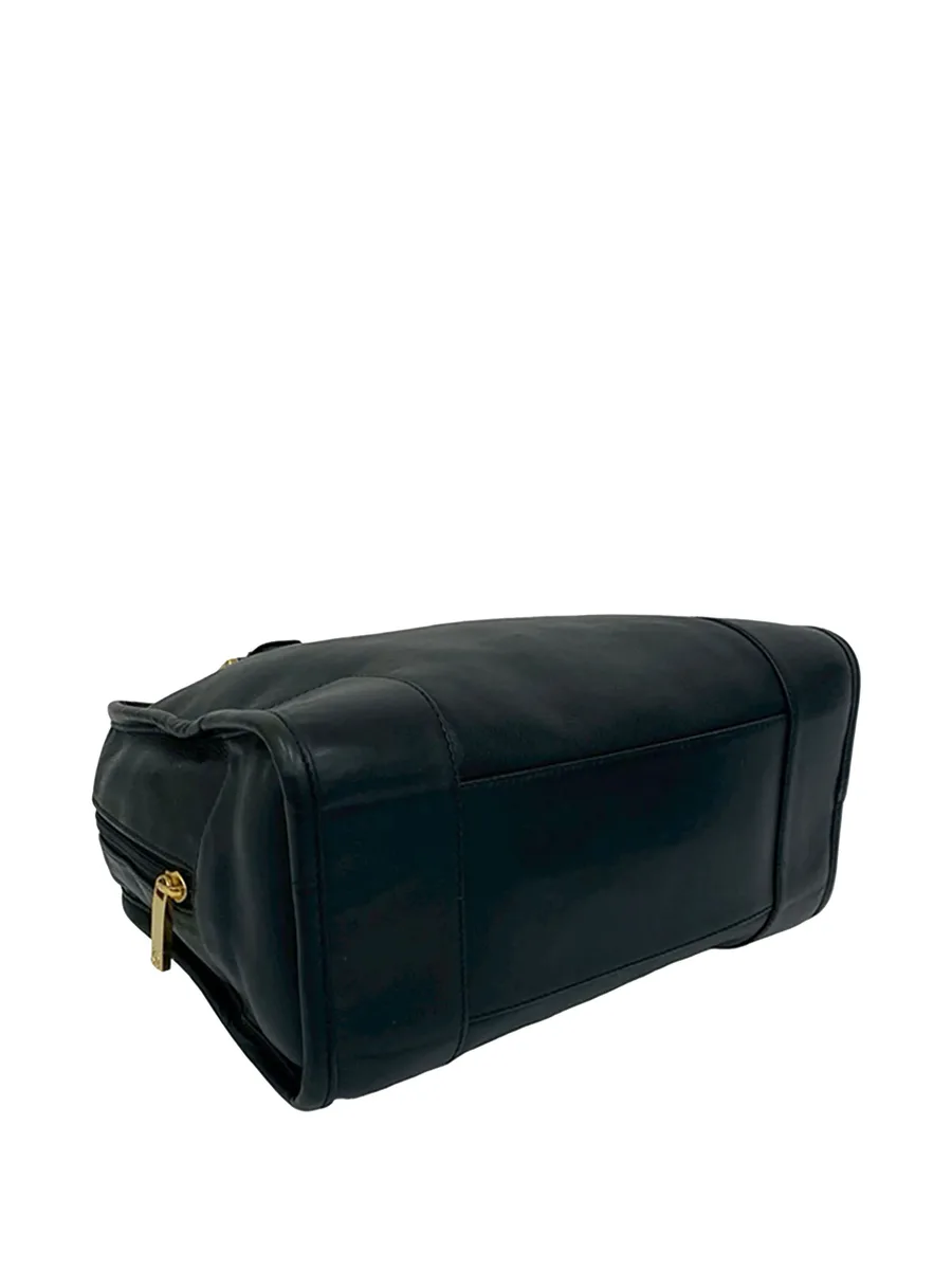 2010-2026 Goatskin Amazona 28 handbag 4