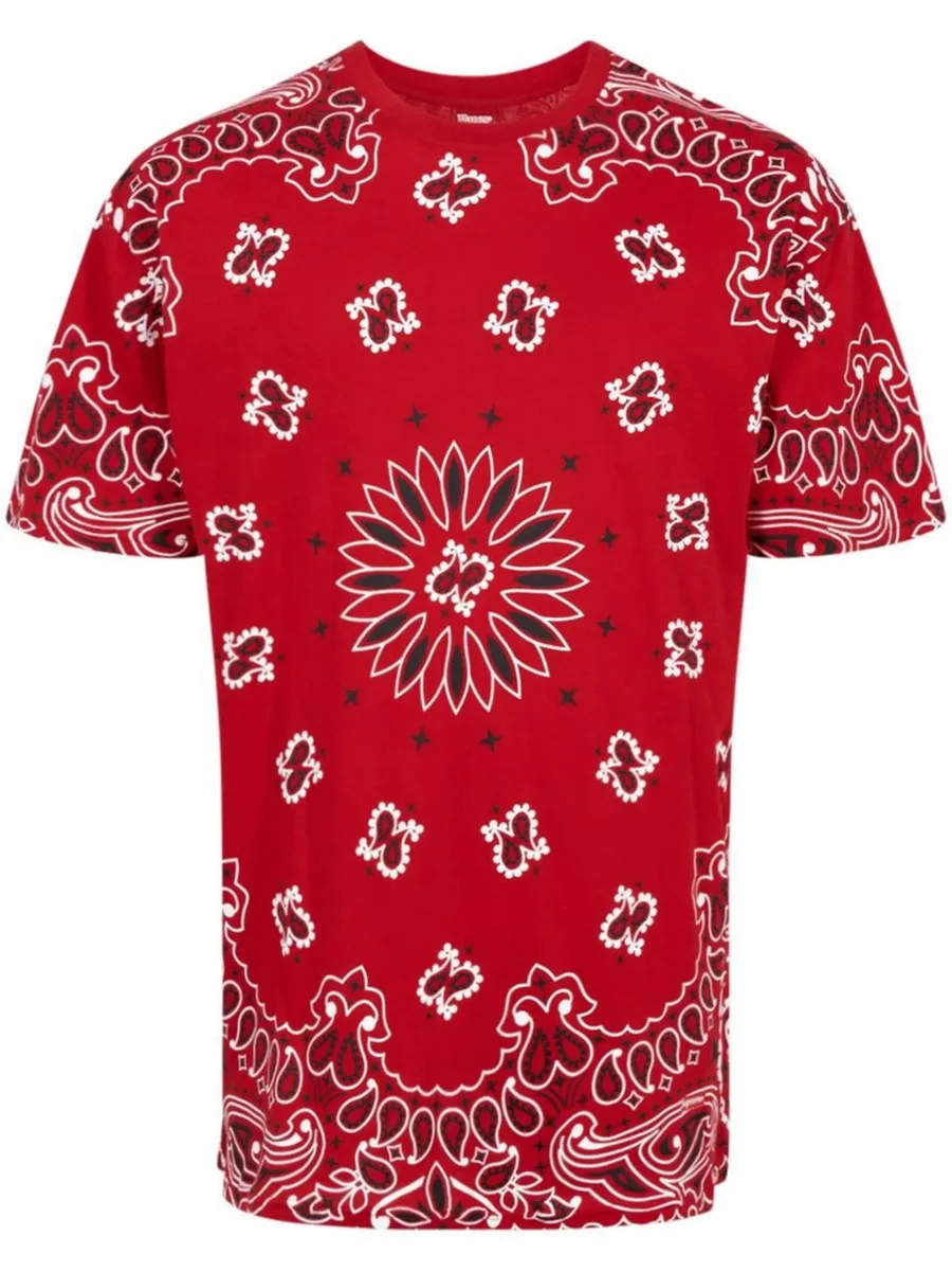 x Hanes Bandana Tagless crew neck T-shirt (pack of 2) 2