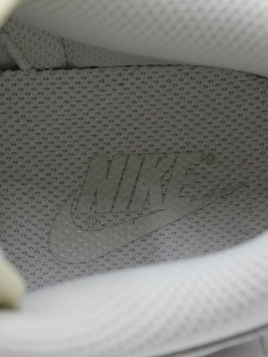 кроссовки Dunk Low 10