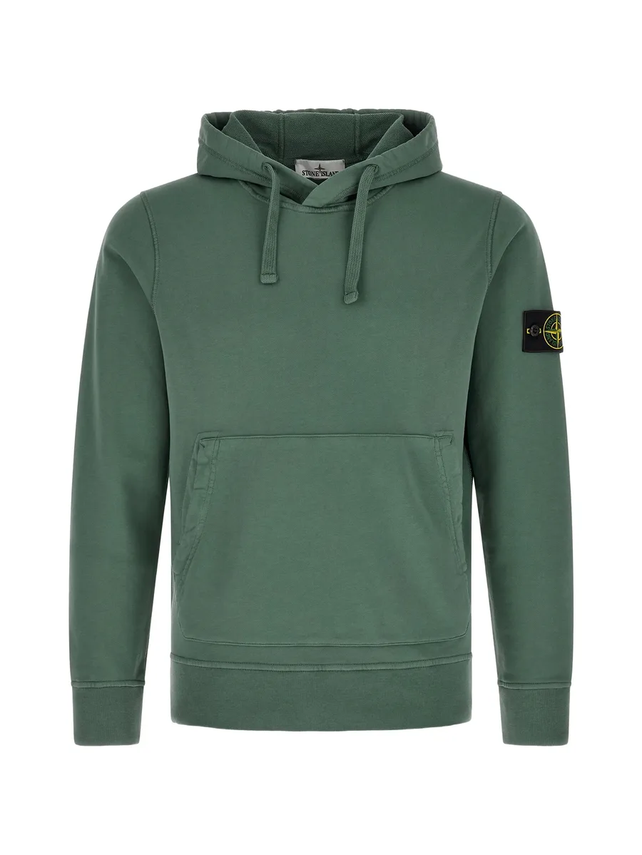 6100062  hoodie 1