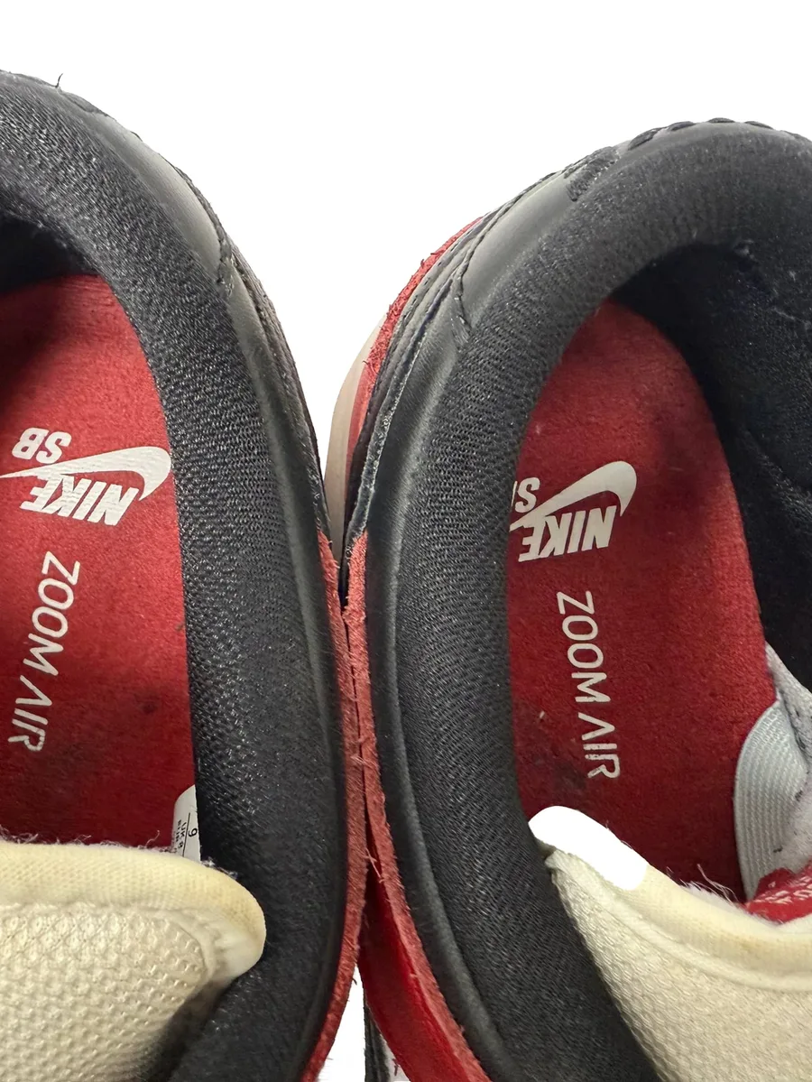 кроссовки Chicago Dunk Low Pro 6