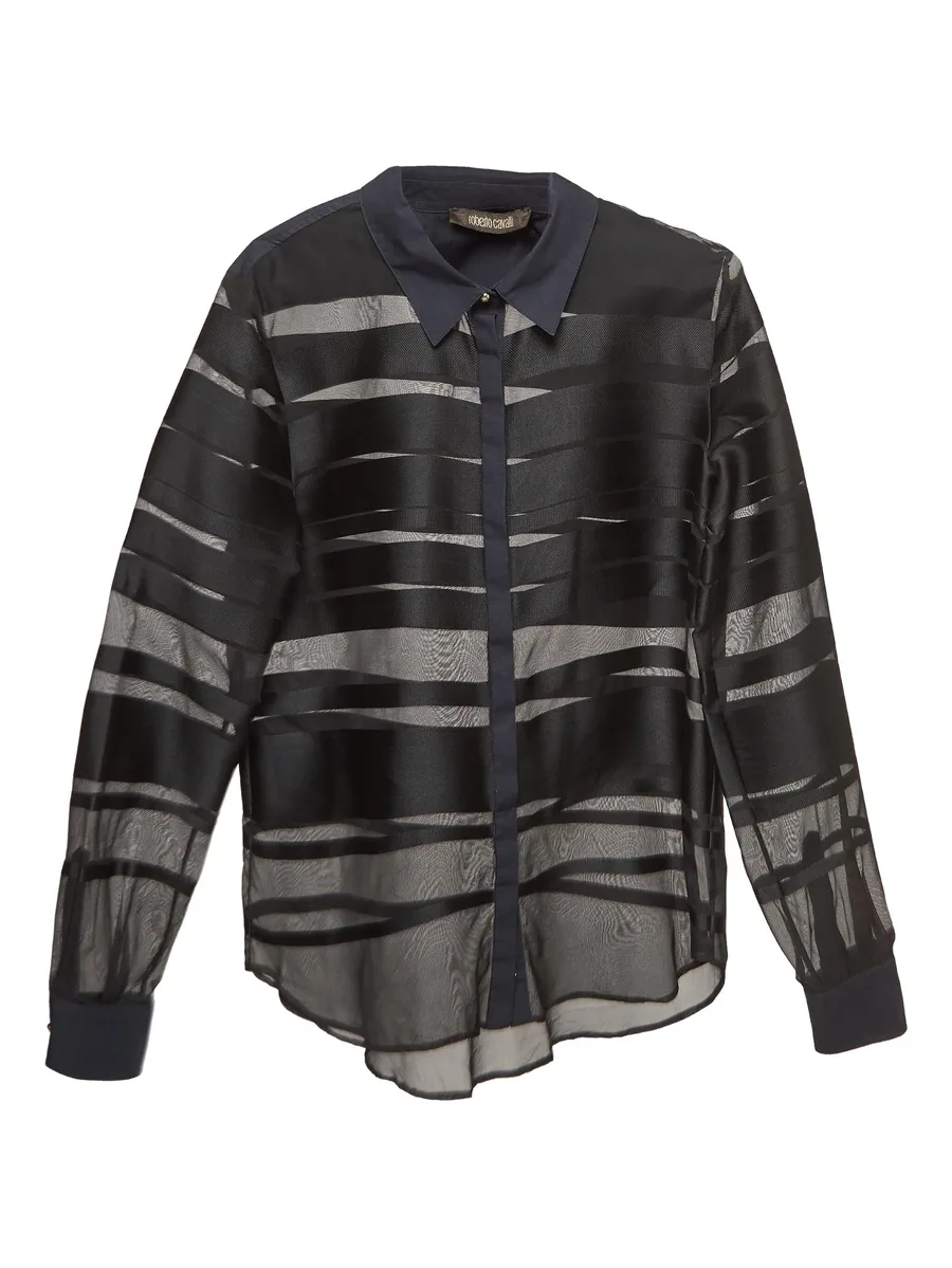 Sheer Stripe Shirt 2