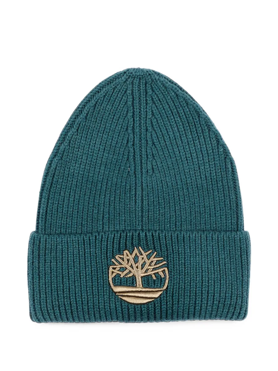 logo-embroidered ribbed-knit beanie hat 1