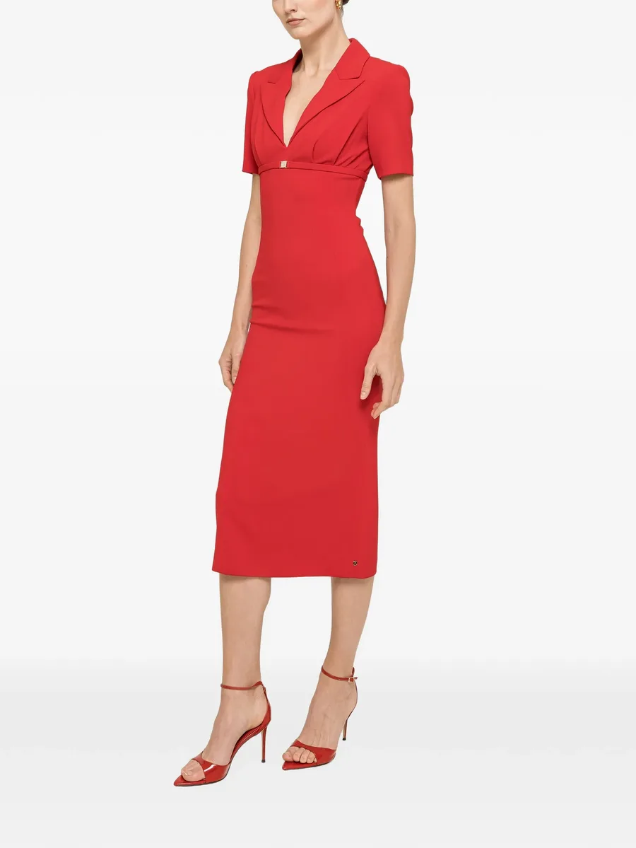 fitted midi dress 2