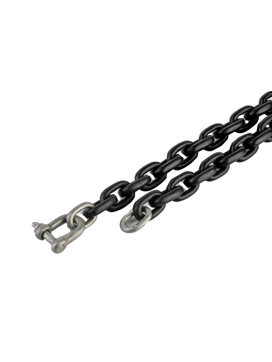 серебряное колье Charm Chain Choker 3