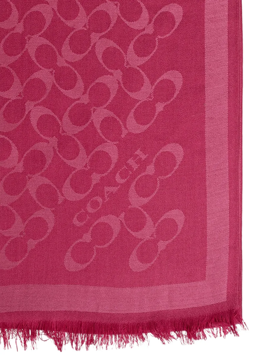 monogram frayed scarf 2