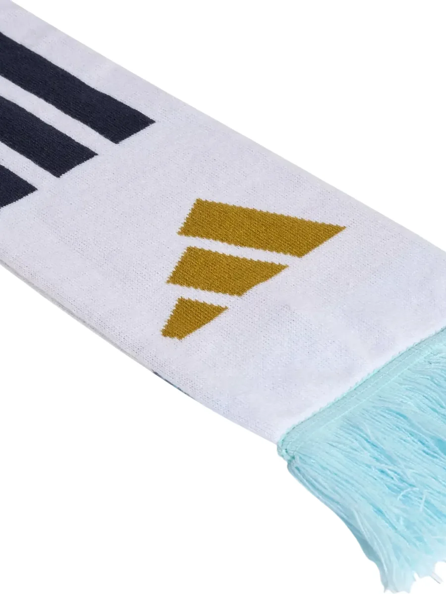 Argentina 26 scarf 2