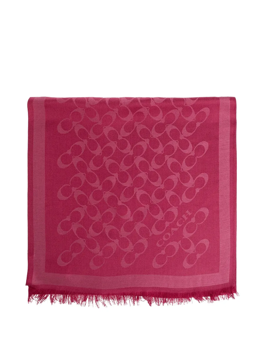 monogram frayed scarf 1