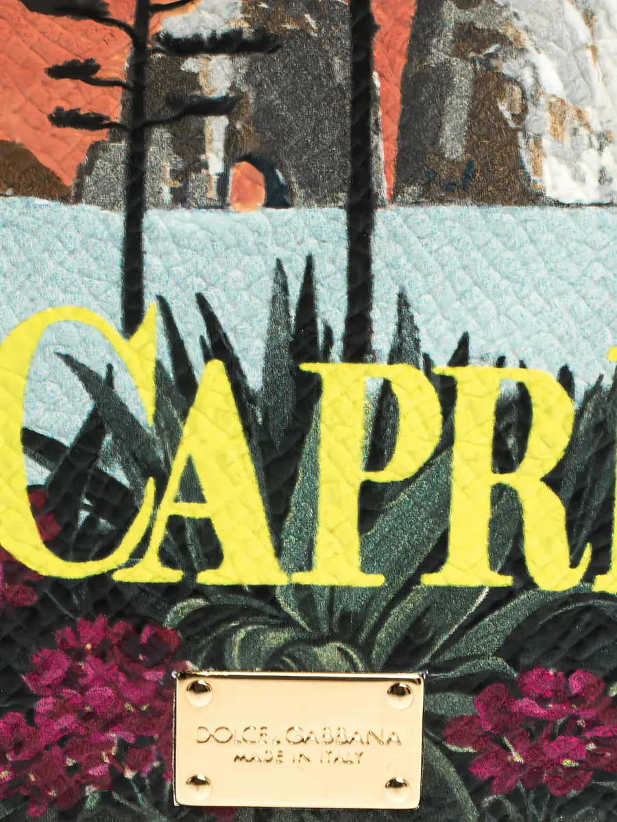 Capri iPhone 6 case 10
