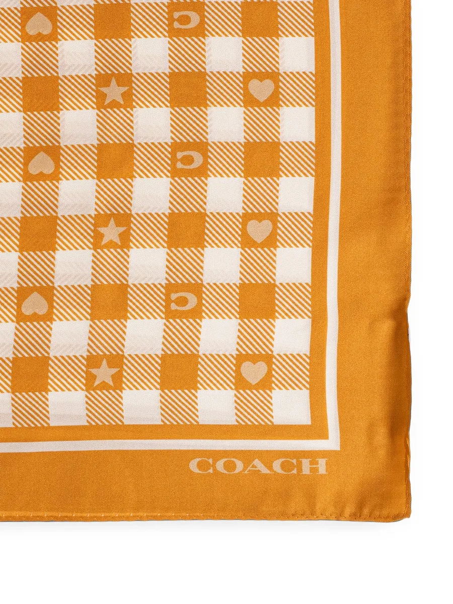 gingham-print logo-print scarf 2