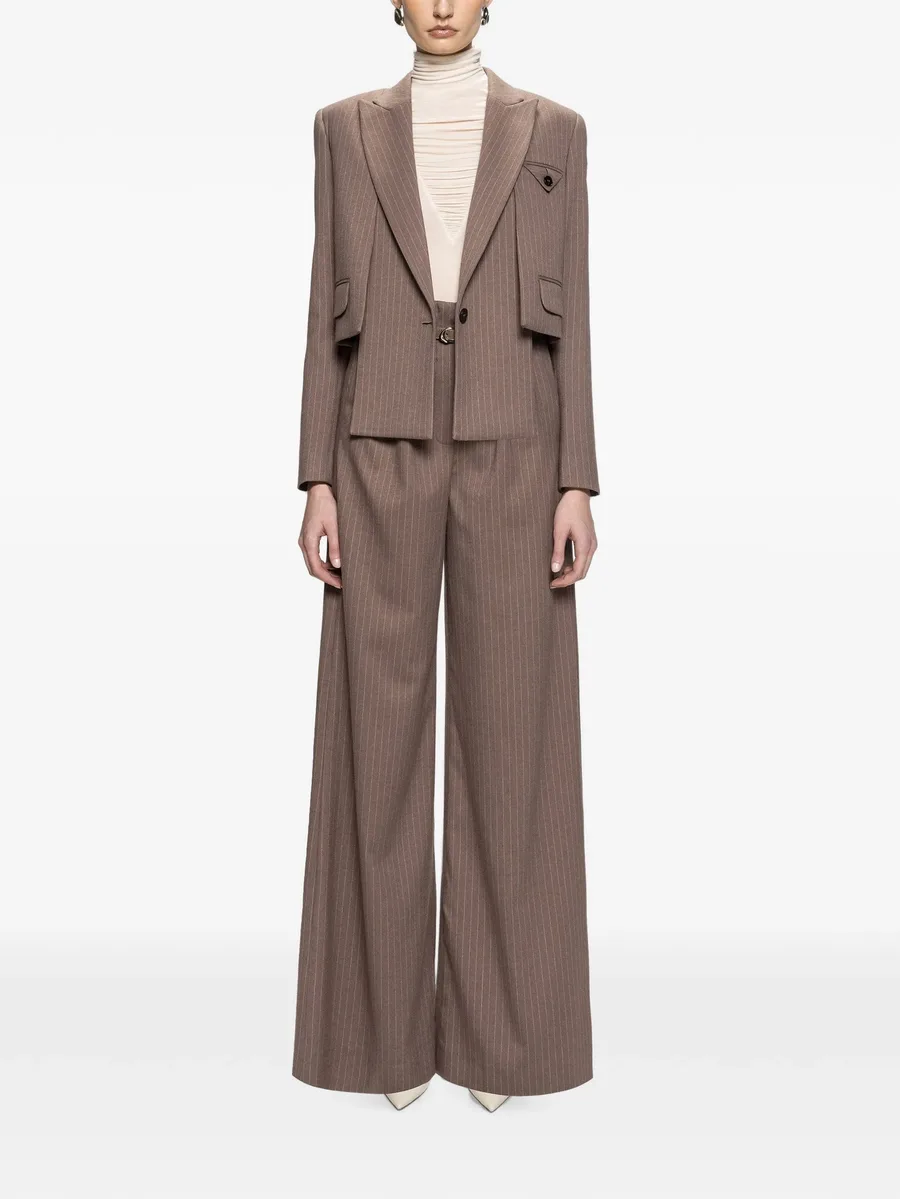 pinstripe blazer 2