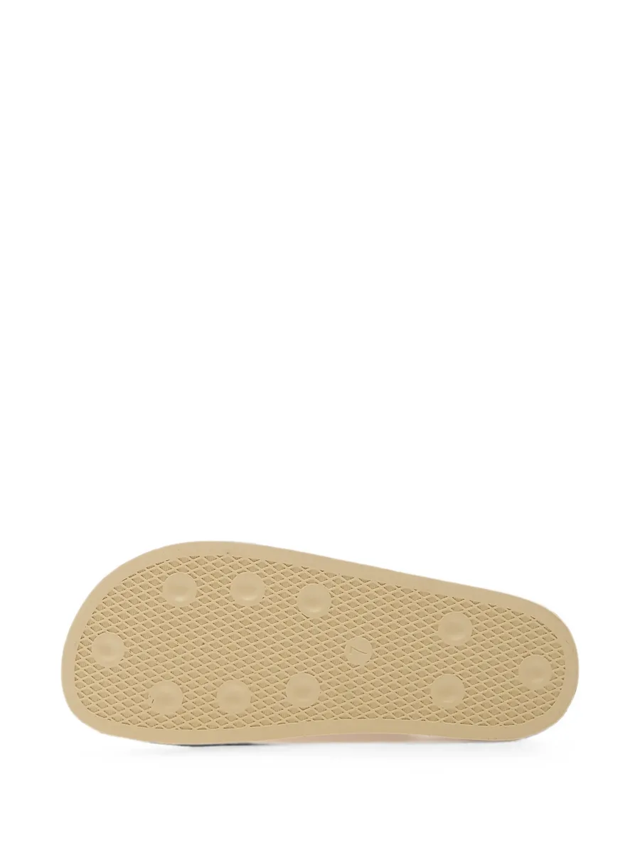 Adimule slides 5