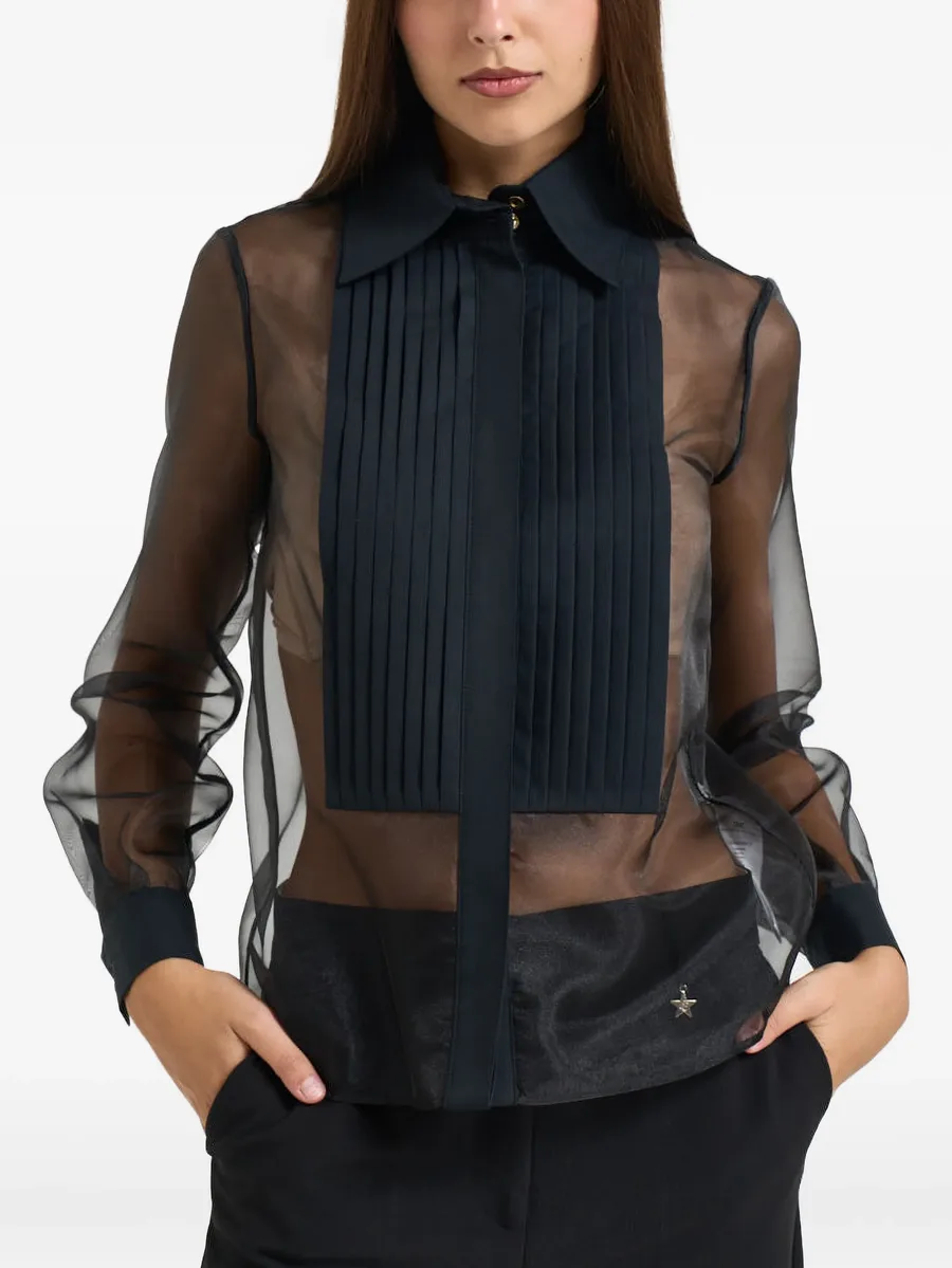 sheer pleated shirt 2