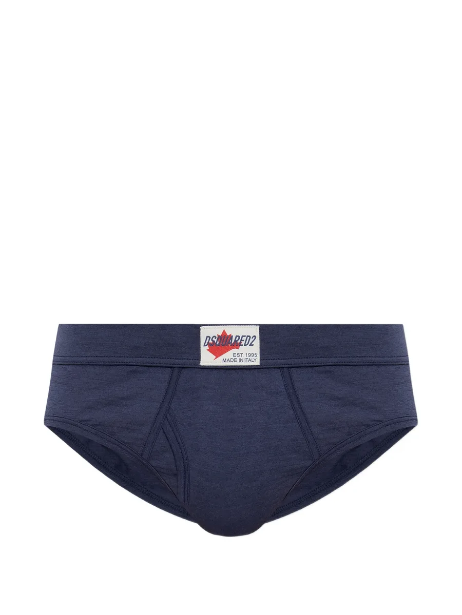 ski pass briefs 1