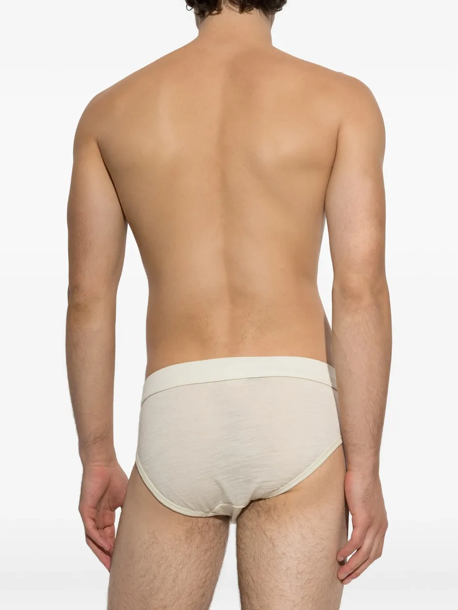 Ski Pass briefs 2