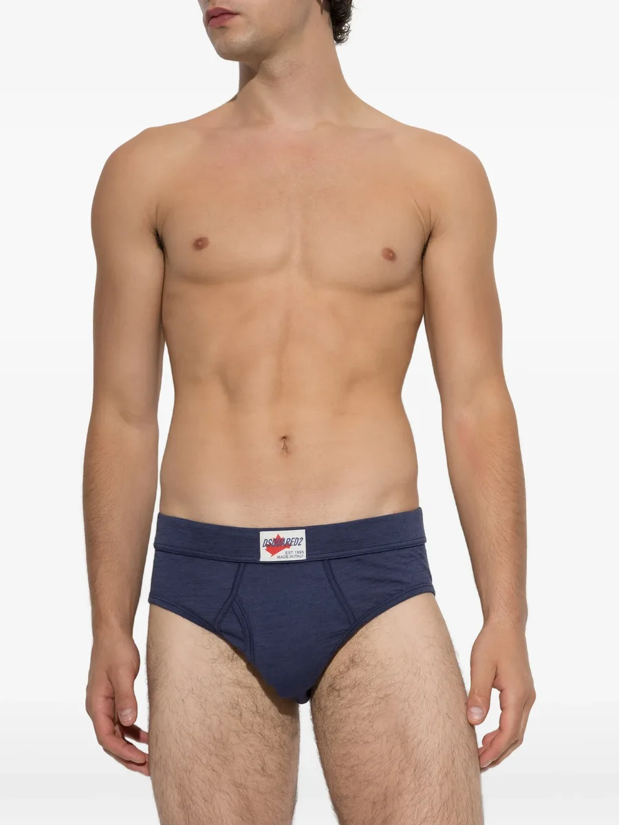 ski pass briefs 2