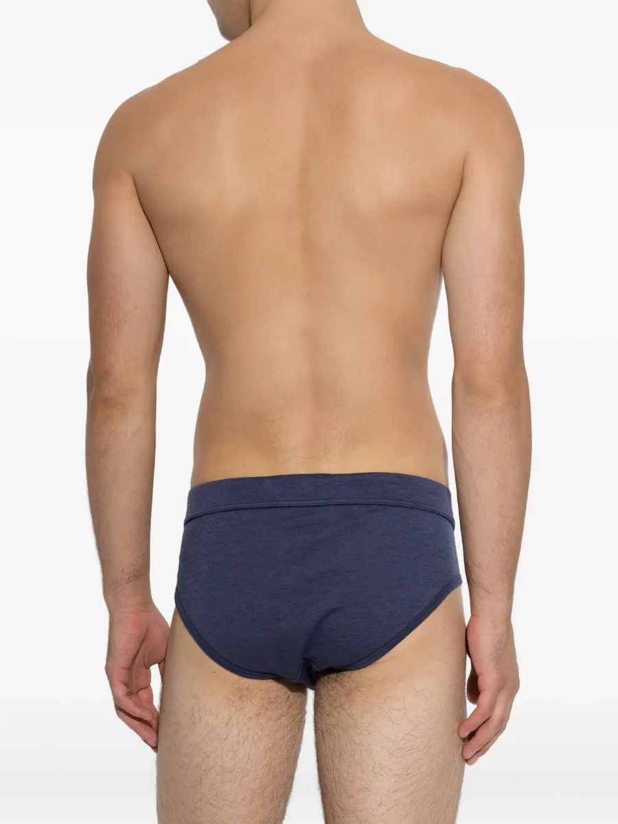 ski pass briefs 3