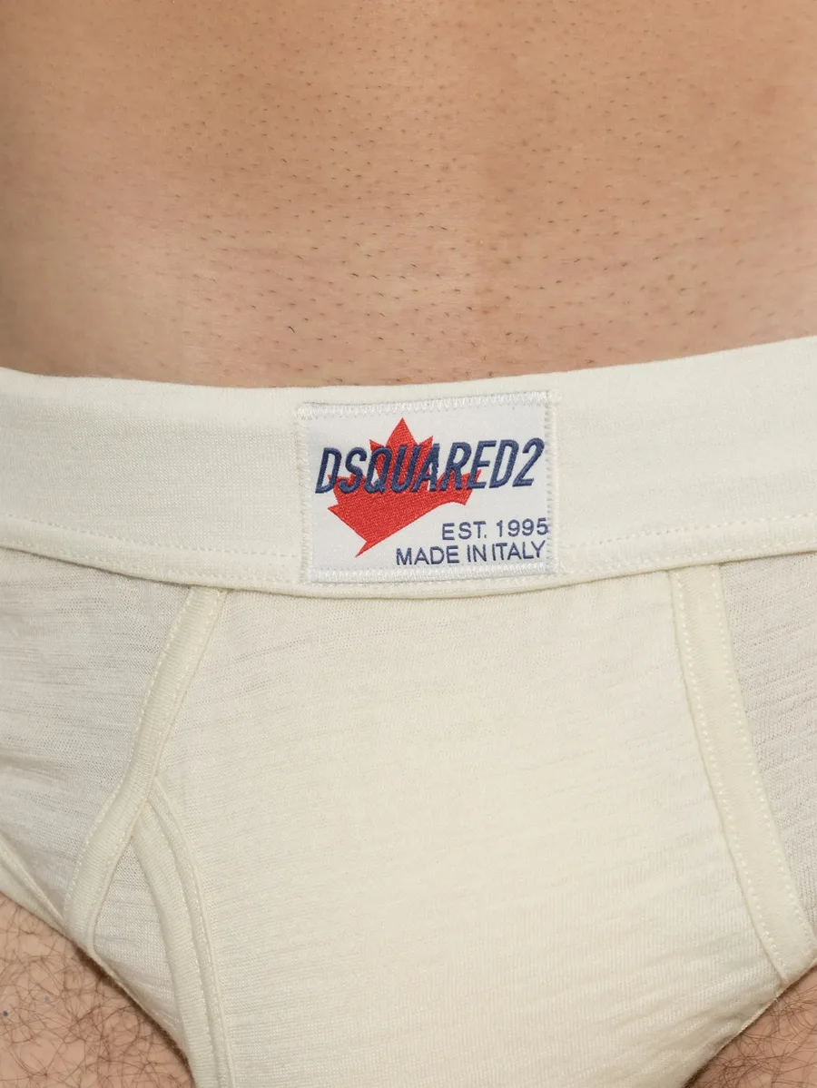 Ski Pass briefs 3