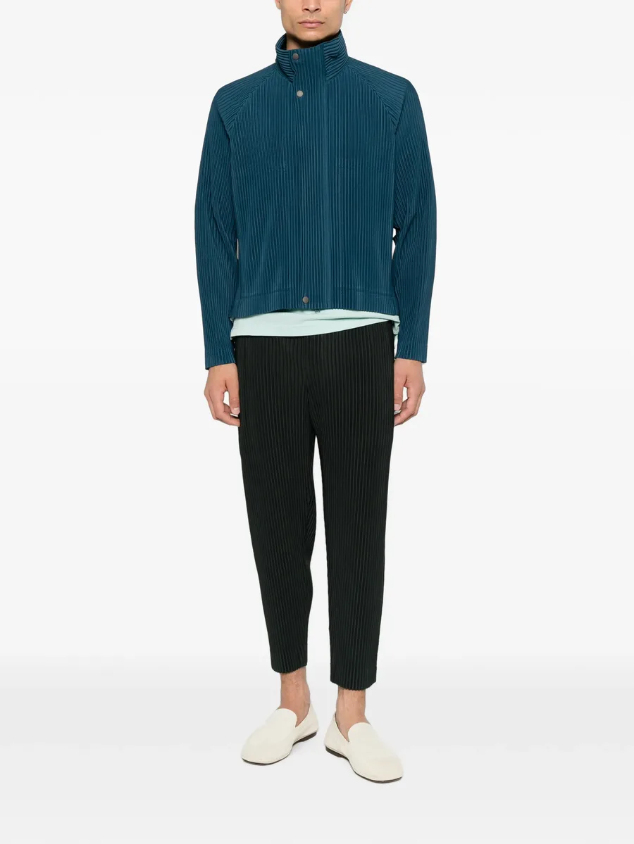 pleated trousers 2