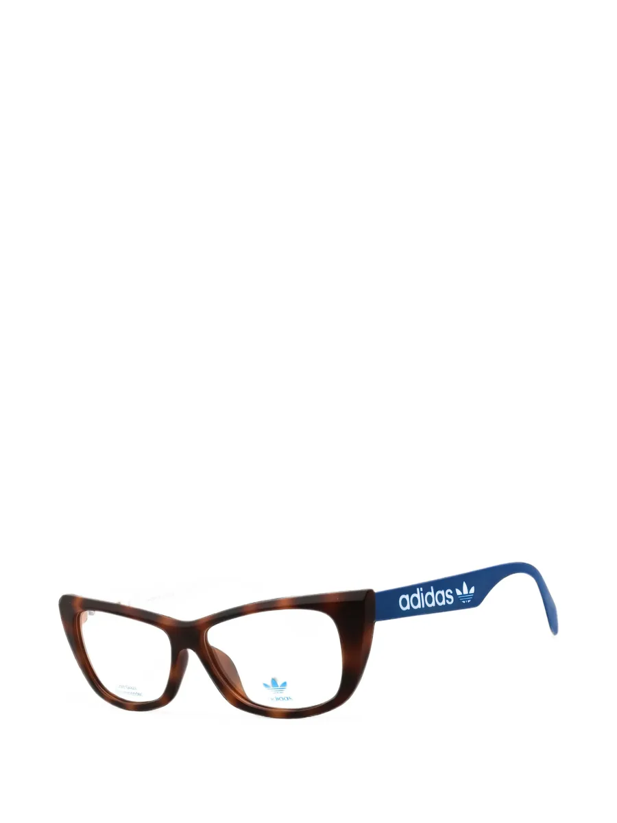 cat-eye glasses 2
