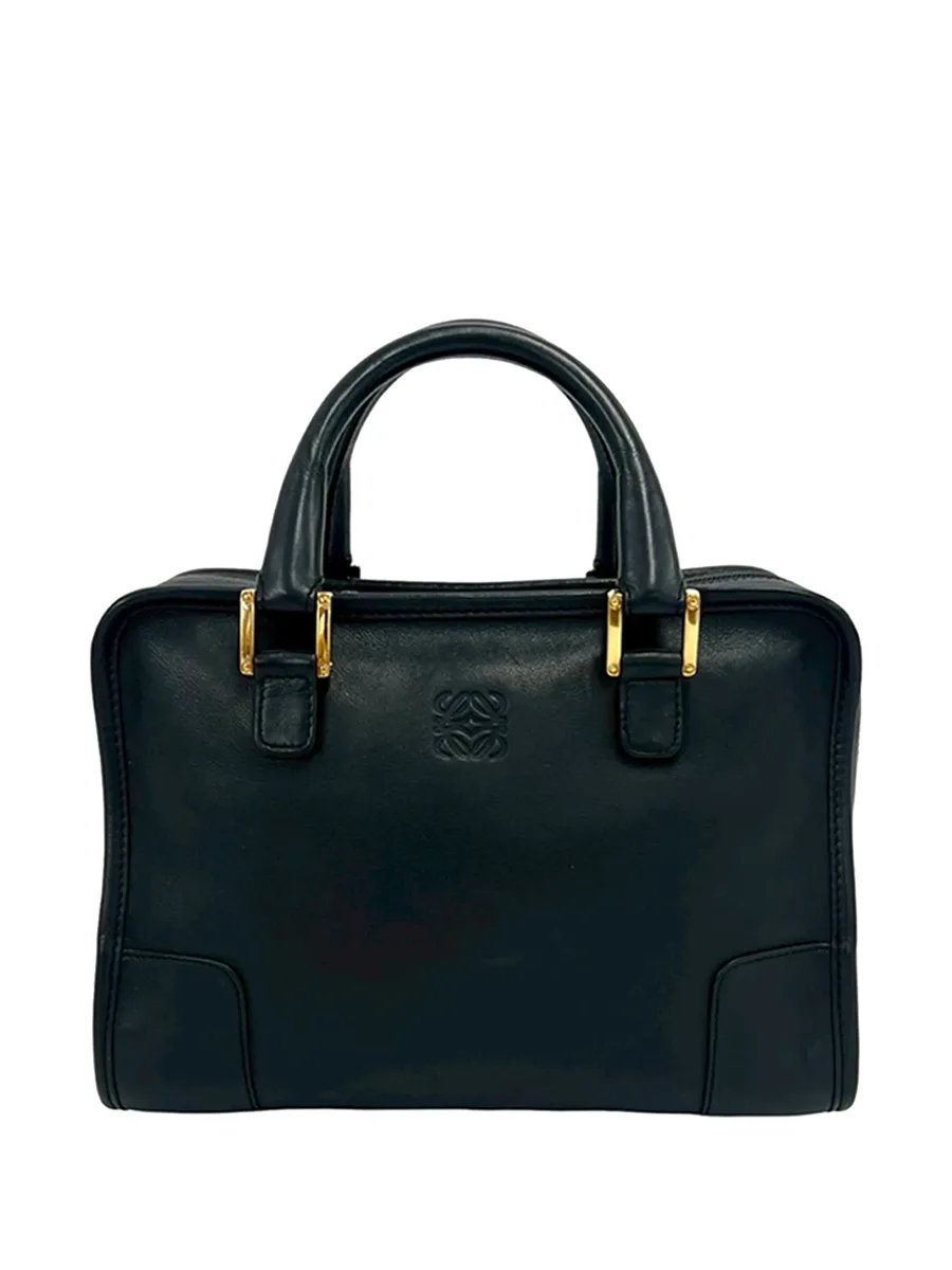 2010-2026 Leather Amazona 28 handbag 1
