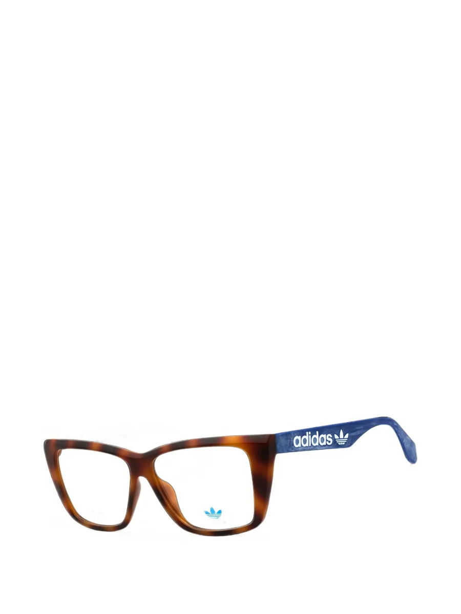 cat-eye glasses 2
